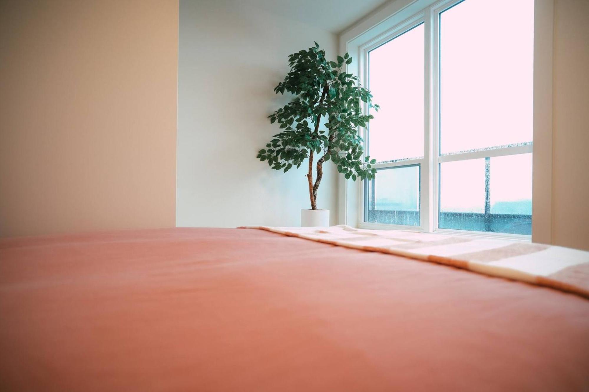 Chic Cozy Retreat - 2Br - Stunning North End Views Lägenhet Halifax Exteriör bild